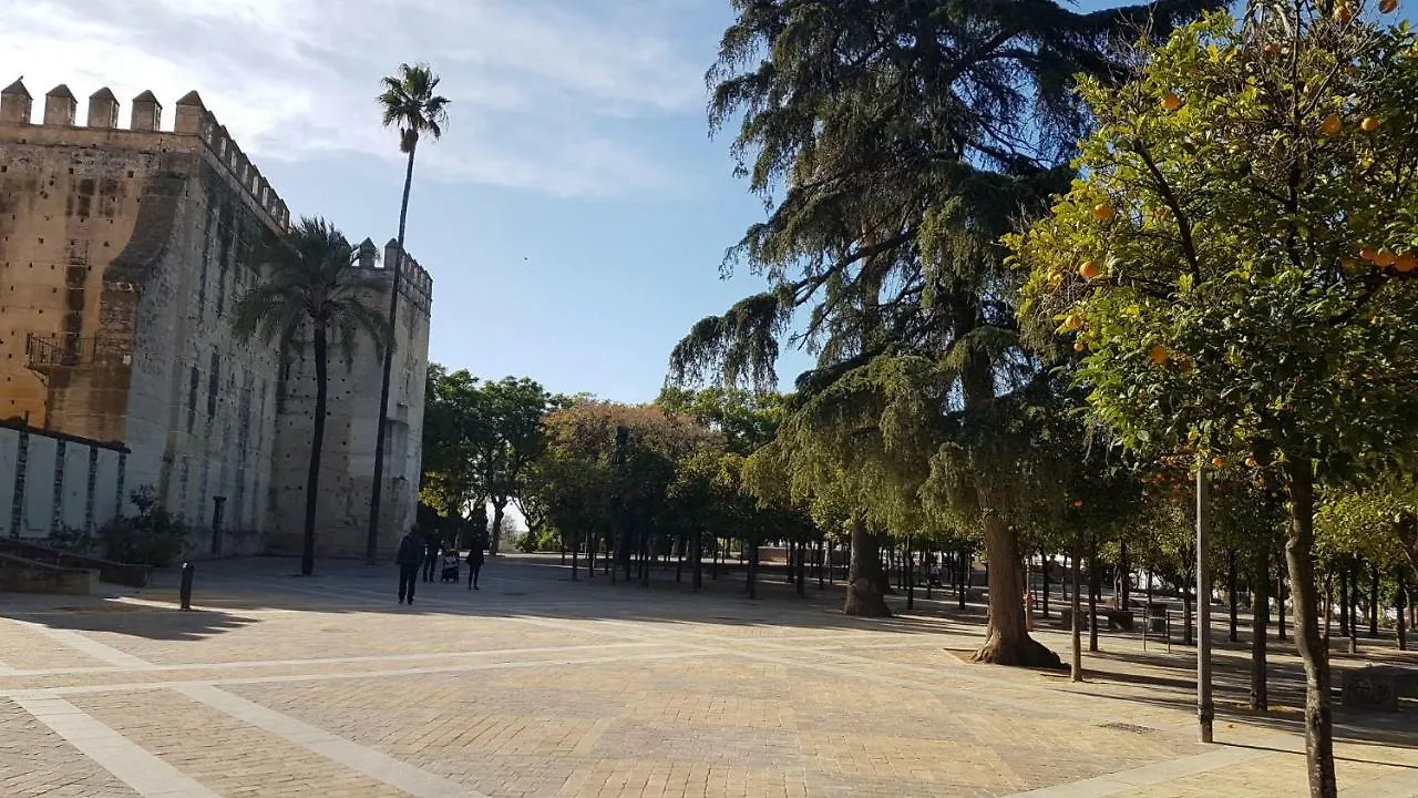 Appartement Apartamento Patri Jerez de la Frontera